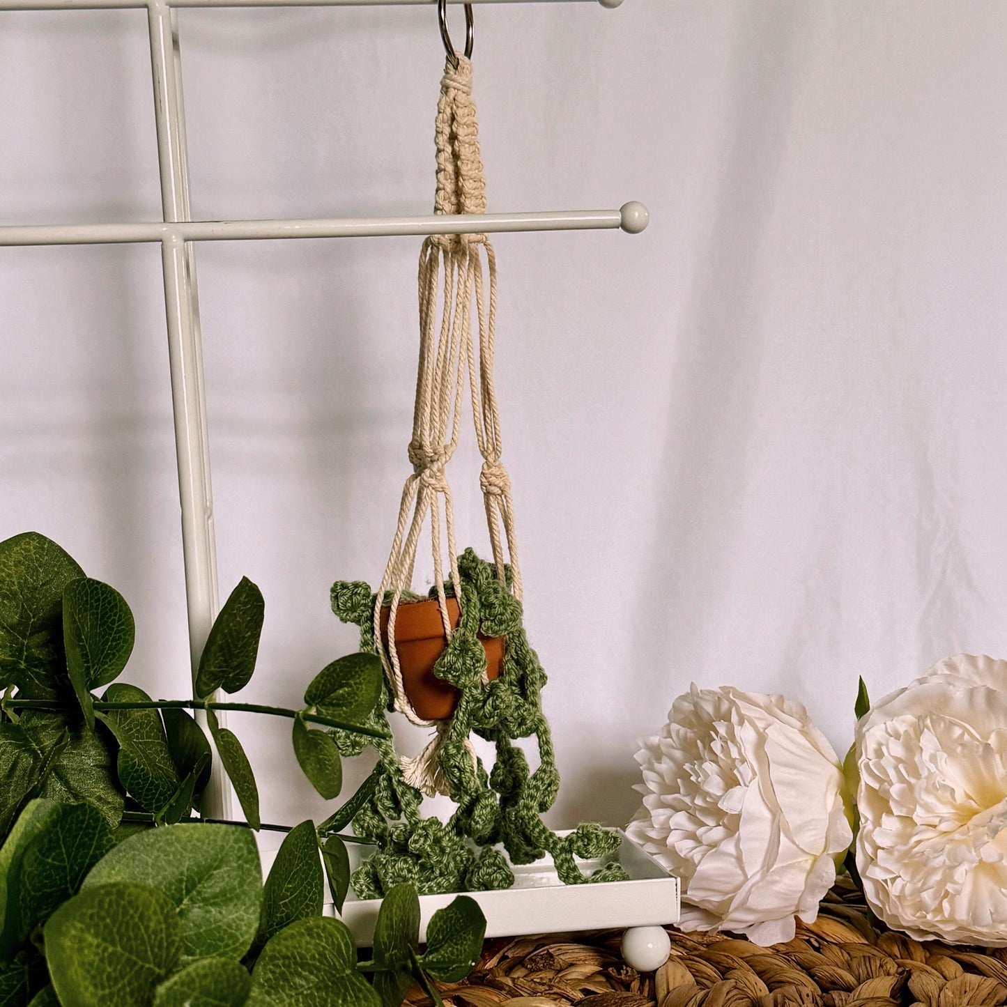 Rearview mirror hanging plant