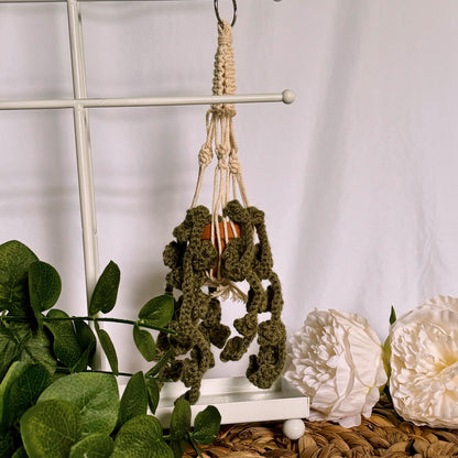 Rearview mirror hanging plant