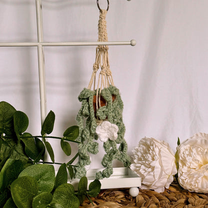 Hanging Plant WITH White Flowers