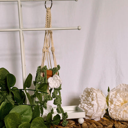 Hanging Plant WITH White Flowers